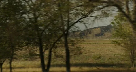 View from the car window on the field Stock Footage 232013804