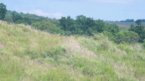 The view from the car window Video stock 161445430
