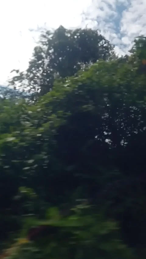 View from the car window Stock-Footage 291226294