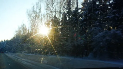 View from the car window on the go. Sunlight shines through snow-covered trees. Stock Footage 101109104