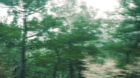 View from the car window on the go. Sunlight glints through the trees. Stock Footage