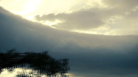 View from the car window on the go. Sunlight glints through the trees. Stock-Footage 107585085