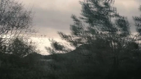 View from the car window on the go. Sunlight glints through the trees. 스톡 동영상 107615391