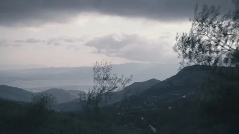 View from the car window on the go. Sunlight glints through the trees. 스톡 동영상 107615398