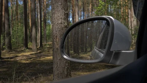 View from the car window on the go. Sunlight glints through the trees. View from Stock Footage 108248734
