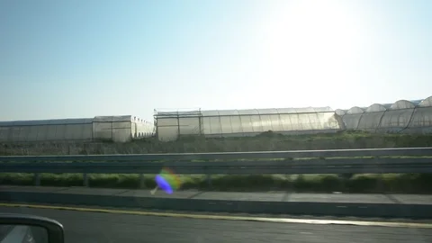 View from car window on green hills and blue sky. Growing wheat fields. Stock Footage 102000982