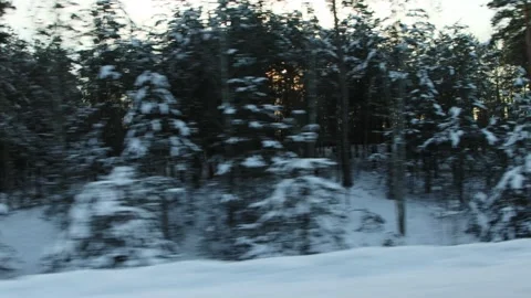 View from the car window in motion on the winter snowy forest against the Stockbeeldmateriaal 165891398