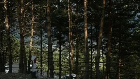 View from the Car Window of a Mountains and Trees along the Road - Driving off-R Stock Footage 112252529