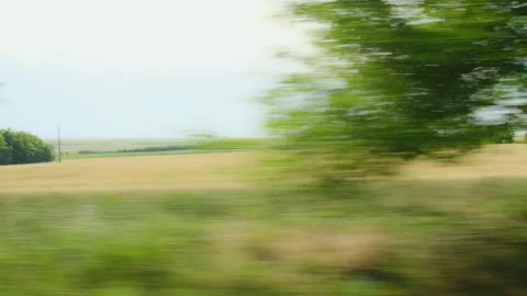 View from a car window moving background country side green trees in summer time Stock Footage 230155635