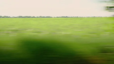 View from a car window moving background country side green trees in summer time Stock Footage 230155679