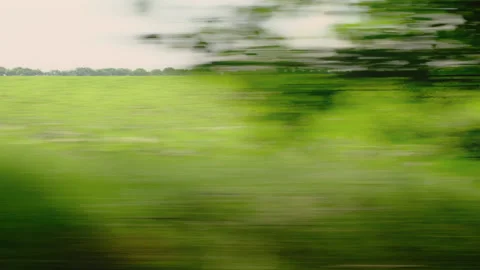 View from a car window moving background country side green trees in summer time Stock Footage 230155684
