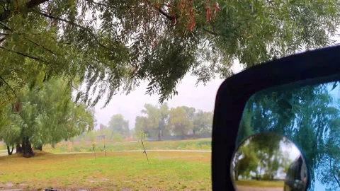 The view from the car window to the park Stock Footage 140736070