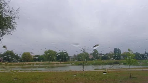 View from the car window on the park Stock Footage 140736119