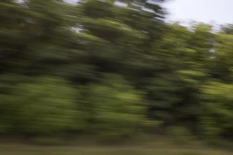 View from the car window. Stock Photos