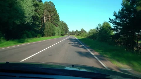 View from car window of road along pine forest. Car driving. Trip, travel, Stock Footage 156125638
