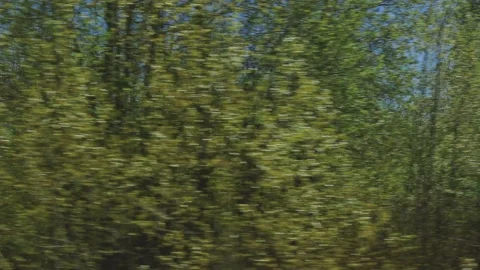 View from the car window to the side of the road, green forest and trees Stock Footage 154380842