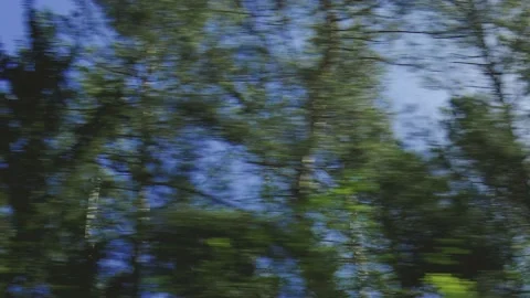 View from the car window to the side of the road, green forest and trees Stock Footage 154401818