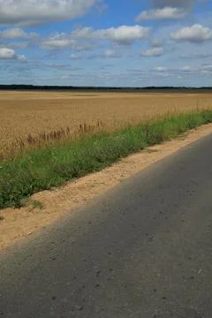 View from the car window to the side of the road, autumn landscape Foto stock