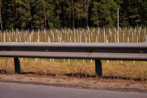 View from the car window to the side of the road, autumn landscape Foto stock