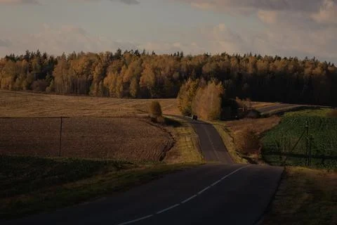 View from the car window to the side of the road, autumn and roadside Foto stock