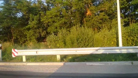 View from the car window. Trees lit by the sun. Road signs and bump stops. Stock Footage 159187135