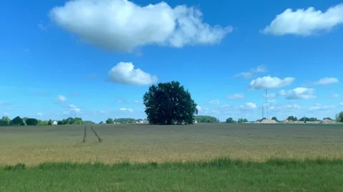 View from the car window of wheat fields and blue sky with clouds. Landscape. Stock Footage 254430363