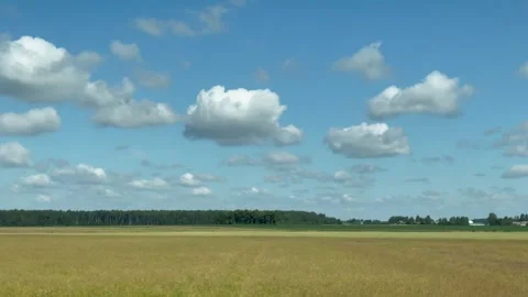 View from the car window of wheat fields and blue sky with clouds. Landscape. Stock Footage 254430378
