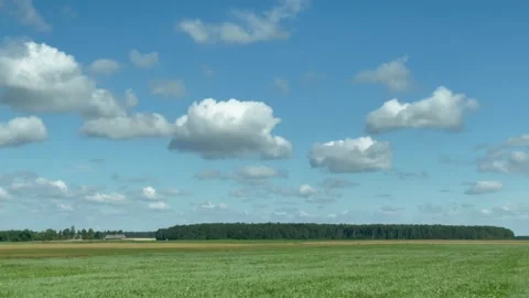View from the car window of wheat fields and blue sky with clouds. Landscape. Stock Footage 254430396