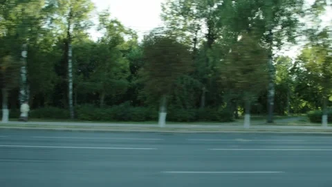View from car window while moving past lush green summer trees alongside urban Video stock 335762395