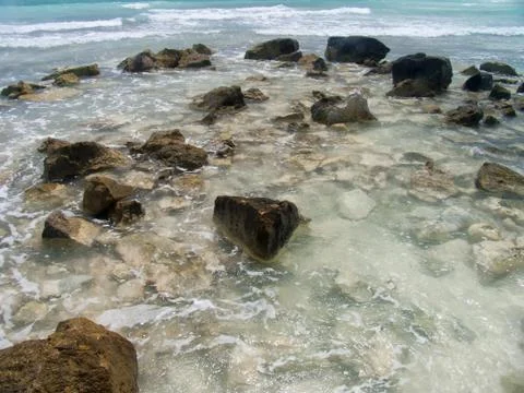 A view of the caribbean beach. Stock Photos