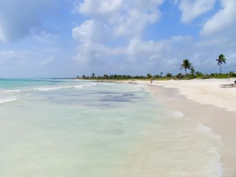 A view of the caribbean beach. Stock Photos