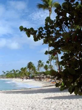 A view of the Caribbean beach. Stock Photos