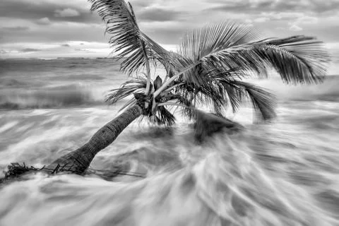 View of Caribbean Beach. Stock Photos