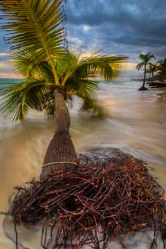 View of Caribbean Beach. Stock Photos