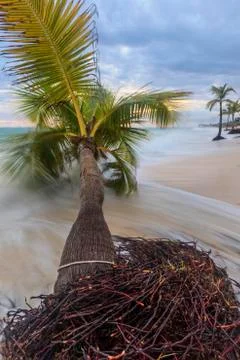 View of Caribbean Beach. Stock Photos