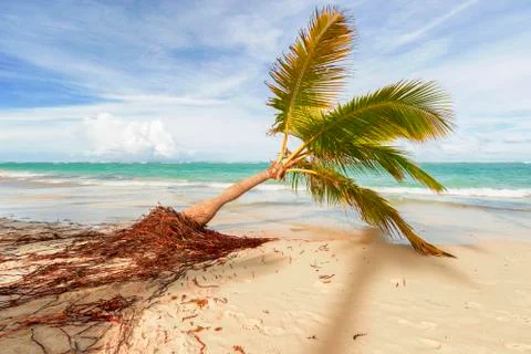 View of Caribbean Beach. Stock Photos