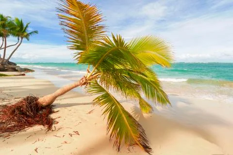 View of Caribbean Beach. Stock Photos