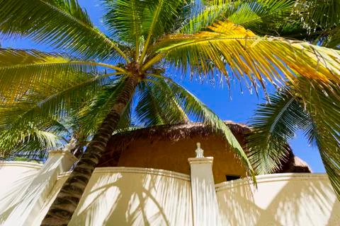View of Caribbean Beach. Foto stock