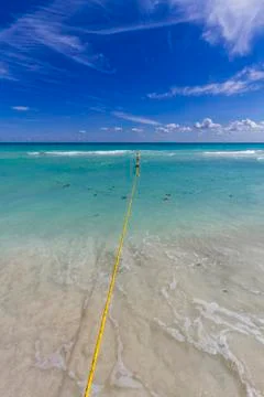 View of Caribbean Beach. Stock Photos