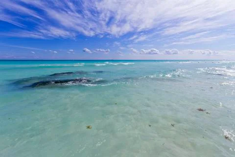 View of Caribbean Beach. Stock Photos