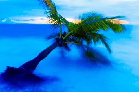 View of Caribbean Beach. Stock Photos