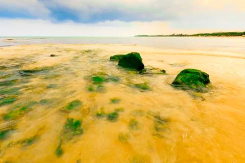 View of Caribbean Beach. Stock Photos