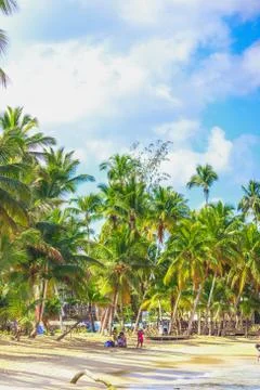 The view of caribbean beach Stock Photos