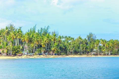 The view of caribbean beach Stock-Fotos