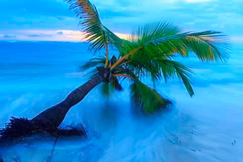View of Caribbean Beach. Stock Photos