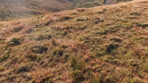 View to carpathian mountains range summer sunny morning. Stock Footage 154705928