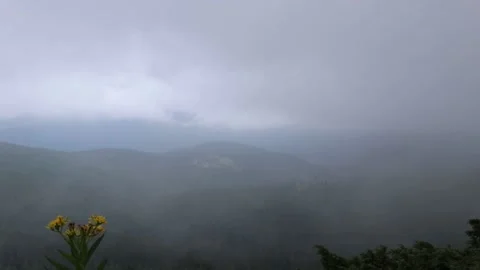 View of the Carpathians from the Mount Hoverla. Stock Footage 137727811