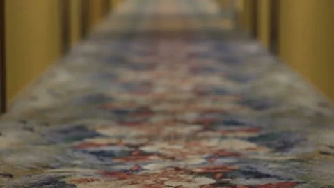 View on carpet at corridor Stock Footage 144460282