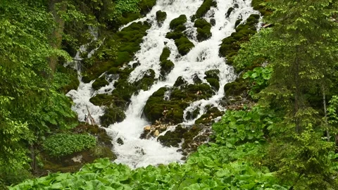 View of Cascada 7 Izvoare waterfall flowing over mossy rocks, Romania. Stock Footage 333527146