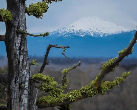 View on the Cascade mountain range from Bend Oregon Stock Photos